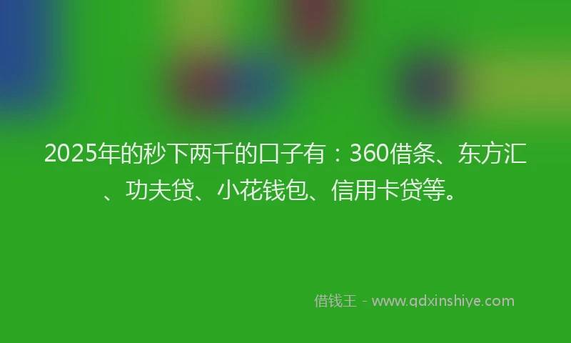 2025年的秒下两千的口子有：360借条、东方汇、功夫贷、小花钱包、信用卡贷等。