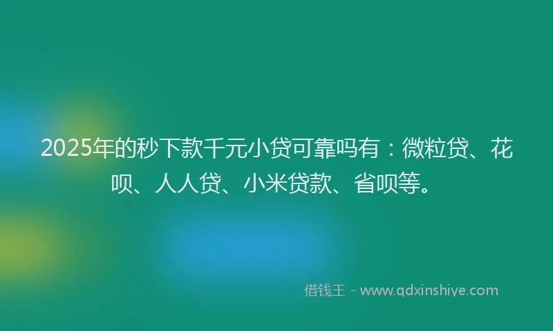 2025年的秒下款千元小贷可靠吗有：微粒贷、花呗、人人贷、小米贷款、省呗等。