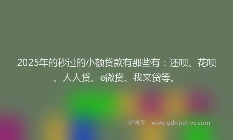 2025年的秒过的小额贷款有那些有：还呗、花呗、人人贷、e微贷、我来贷等。