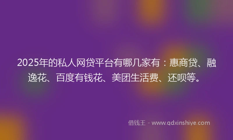 2025年的私人网贷平台有哪几家有：惠商贷、融逸花、百度有钱花、美团生活费、还呗等。