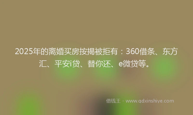 2025年的离婚买房按揭被拒有：360借条、东方汇、平安i贷、替你还、e微贷等。