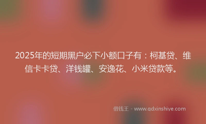 2025年的短期黑户必下小额口子有：柯基贷、维信卡卡贷、洋钱罐、安逸花、小米贷款等。