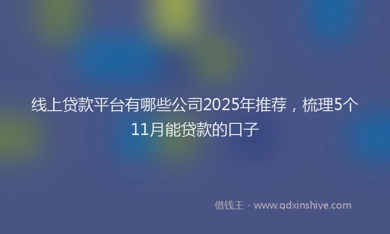 线上贷款平台有哪些公司2025年推荐，梳理5个11月能贷款的口子