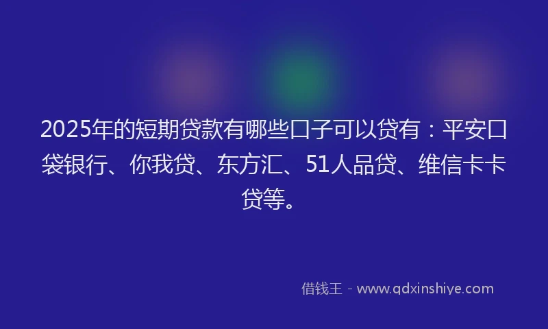 2025年的短期贷款有哪些口子可以贷有：平安口袋银行、你我贷、东方汇、51人品贷、维信卡卡贷等。