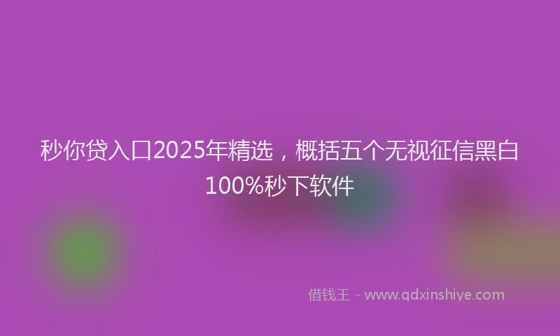 秒你贷入口2025年精选，概括五个无视征信黑白100%秒下软件