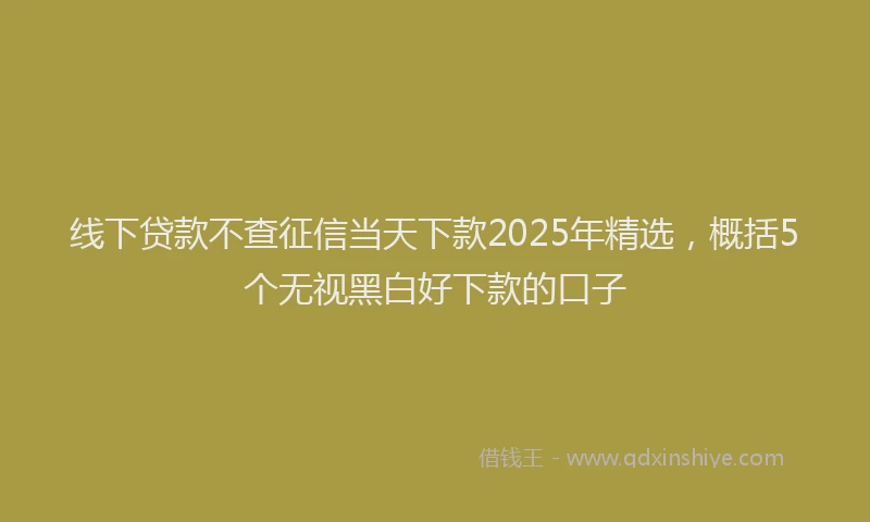 线下贷款不查征信当天下款2025年精选，概括5个无视黑白好下款的口子