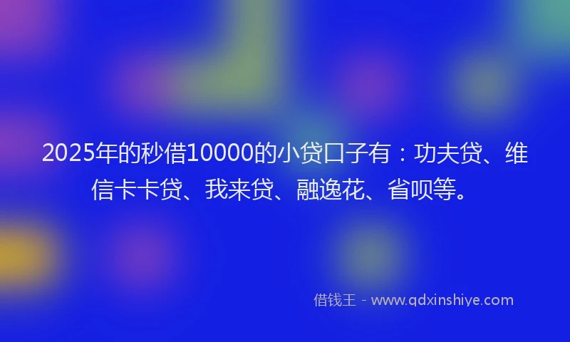 2025年的秒借10000的小贷口子有：功夫贷、维信卡卡贷、我来贷、融逸花、省呗等。
