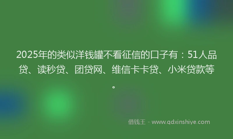 2025年的类似洋钱罐不看征信的口子有：51人品贷、读秒贷、团贷网、维信卡卡贷、小米贷款等。