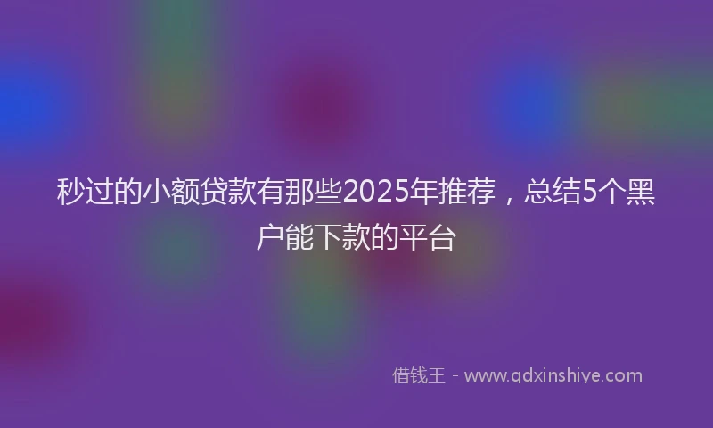 秒过的小额贷款有那些2025年推荐，总结5个黑户能下款的平台