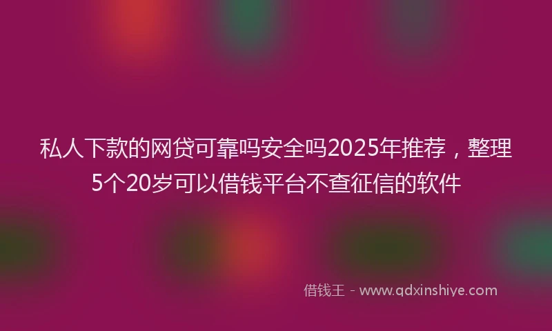 私人下款的网贷可靠吗安全吗2025年推荐，整理5个20岁可以借钱平台不查征信的软件