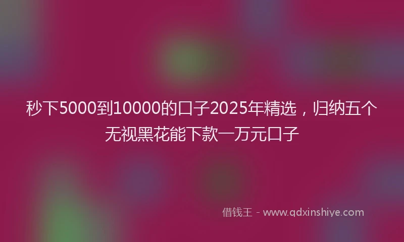 秒下5000到10000的口子2025年精选，归纳五个无视黑花能下款一万元口子