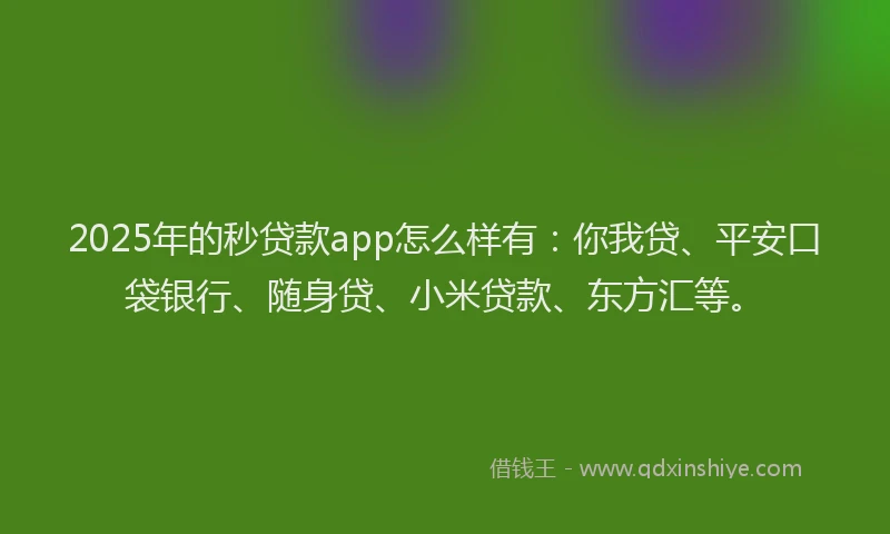 2025年的秒贷款app怎么样有：你我贷、平安口袋银行、随身贷、小米贷款、东方汇等。
