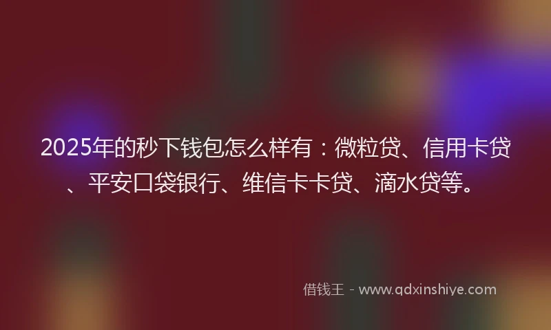 2025年的秒下钱包怎么样有：微粒贷、信用卡贷、平安口袋银行、维信卡卡贷、滴水贷等。