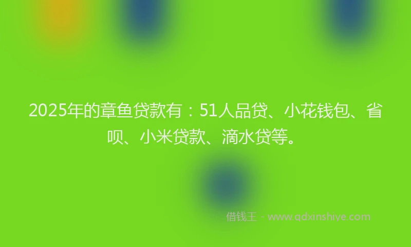 2025年的章鱼贷款有：51人品贷、小花钱包、省呗、小米贷款、滴水贷等。