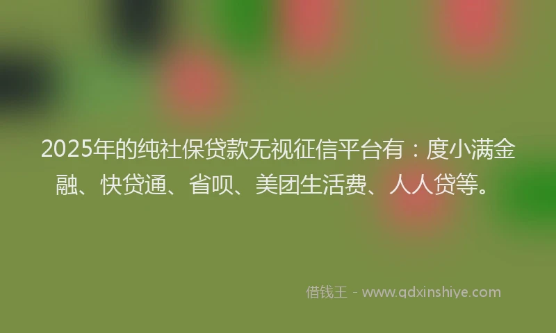 2025年的纯社保贷款无视征信平台有:度小满金融、快贷通、省呗、美团生活费、人人贷等。