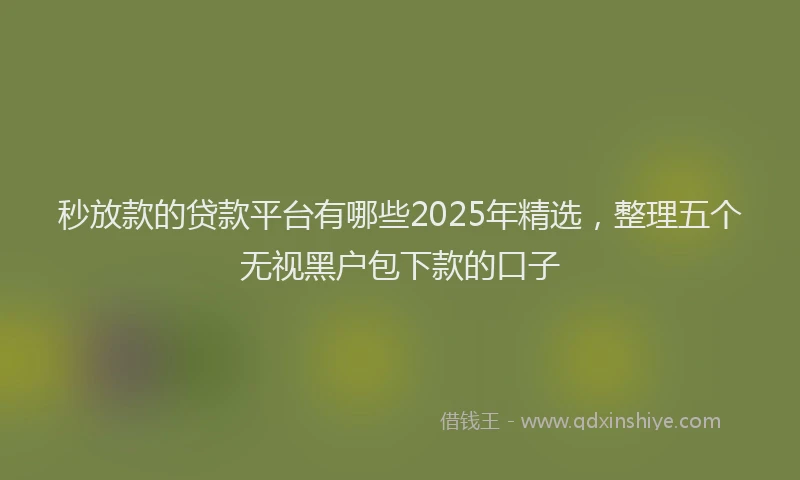 秒放款的贷款平台有哪些2025年精选,整理五个无视黑户包下款的口子