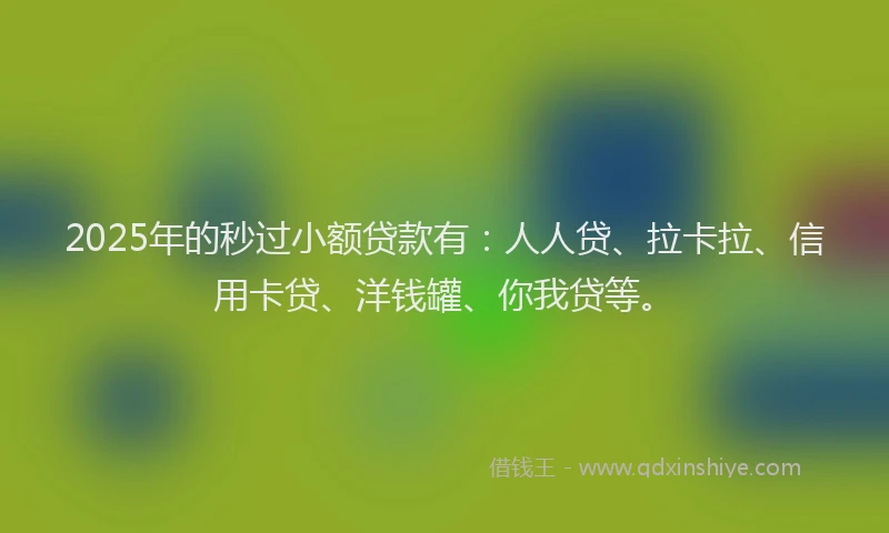 2025年的秒过小额贷款有：人人贷、拉卡拉、信用卡贷、洋钱罐、你我贷等。