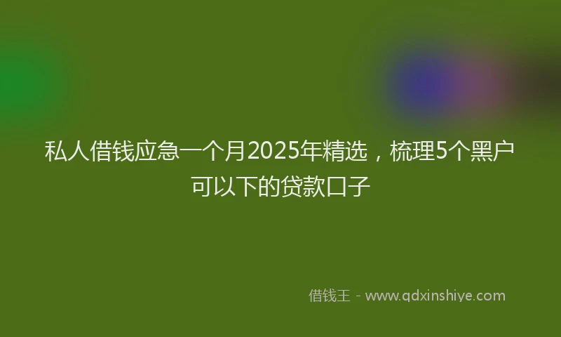 私人借钱应急一个月2025年精选，梳理5个黑户可以下的贷款口子