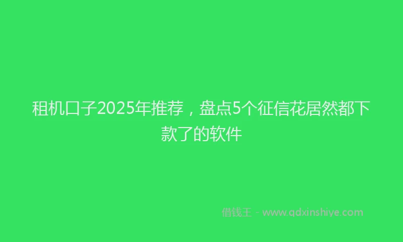租机口子2025年推荐，盘点5个征信花居然都下款了的软件
