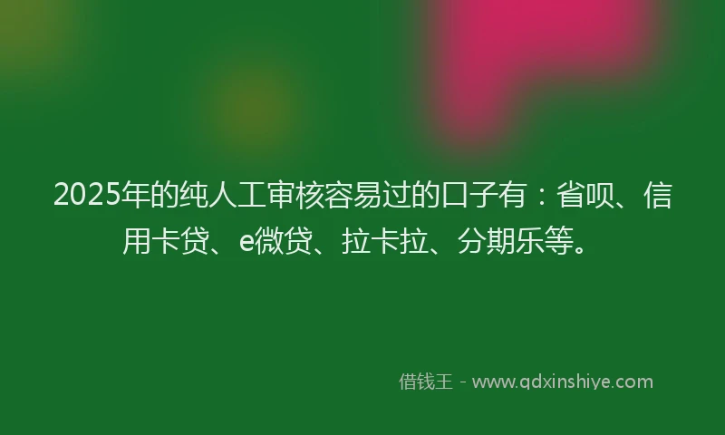 2025年的纯人工审核容易过的口子有：省呗、信用卡贷、e微贷、拉卡拉、分期乐等。