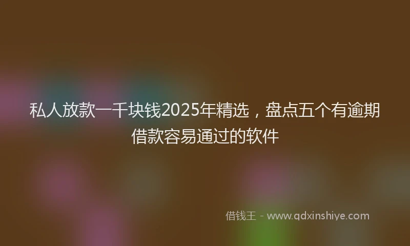 私人放款一千块钱2025年精选，盘点五个有逾期借款容易通过的软件