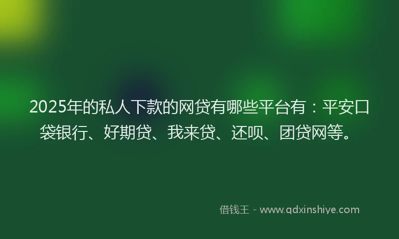 2025年的私人下款的网贷有哪些平台有：平安口袋银行、好期贷、我来贷、还呗、团贷网等。