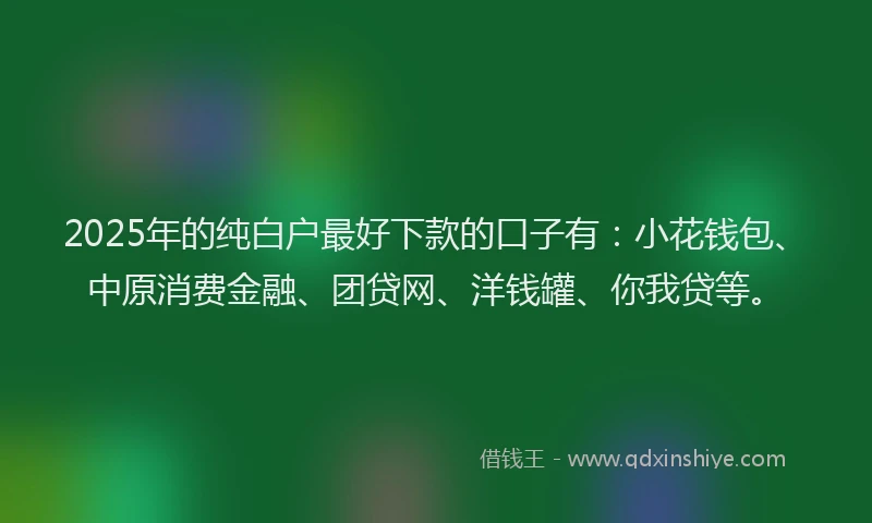 2025年的纯白户最好下款的口子有：小花钱包、中原消费金融、团贷网、洋钱罐、你我贷等。