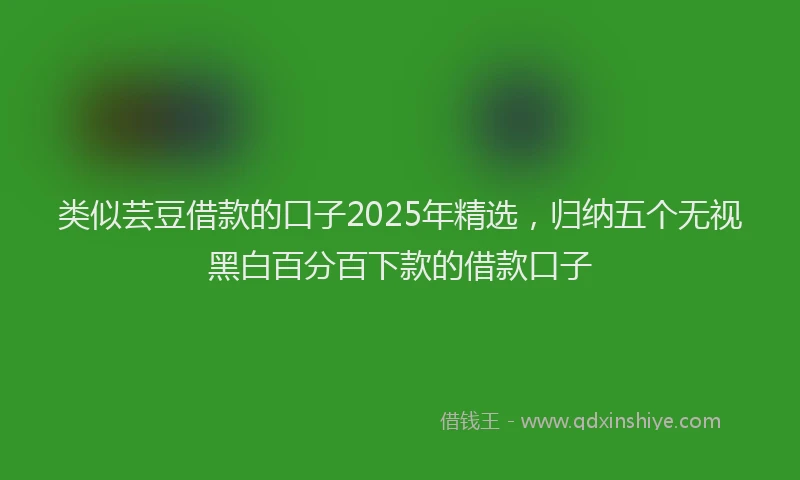 类似芸豆借款的口子2025年精选，归纳五个无视黑白百分百下款的借款口子