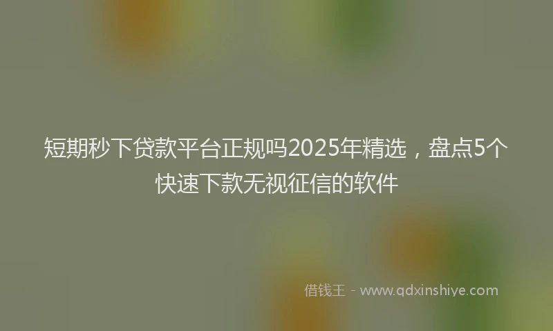 短期秒下贷款平台正规吗2025年精选，盘点5个快速下款无视征信的软件