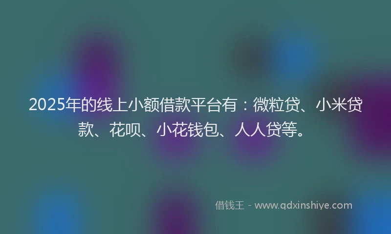 2025年的线上小额借款平台有：微粒贷、小米贷款、花呗、小花钱包、人人贷等。