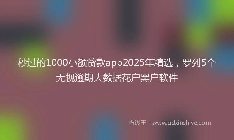 秒过的1000小额贷款app2025年精选，罗列5个无视逾期大数据花户黑户软件