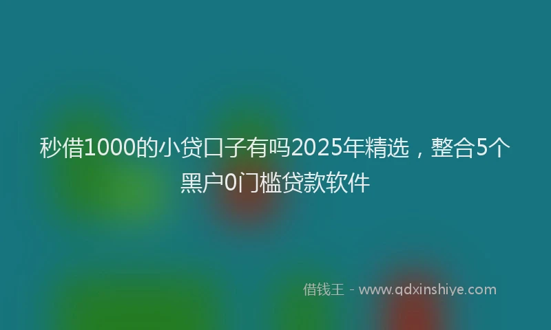 秒借1000的小贷口子有吗2025年精选，整合5个黑户0门槛贷款软件