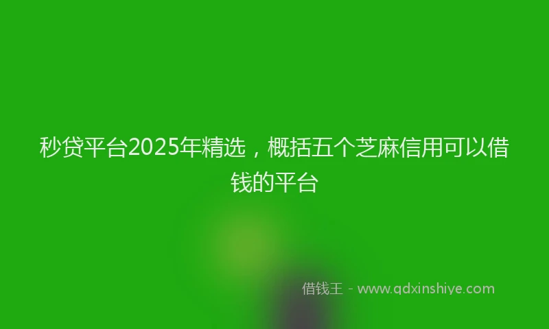 秒贷平台2025年精选，概括五个芝麻信用可以借钱的平台