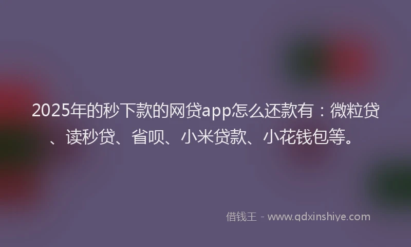 2025年的秒下款的网贷app怎么还款有：微粒贷、读秒贷、省呗、小米贷款、小花钱包等。