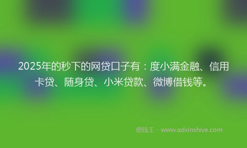 2025年的秒下的网贷口子有：度小满金融、信用卡贷、随身贷、小米贷款、微博借钱等。