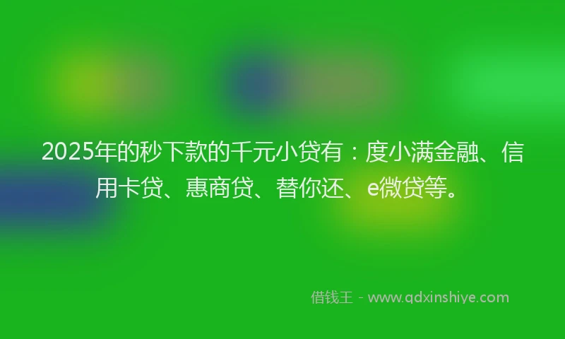 2025年的秒下款的千元小贷有：度小满金融、信用卡贷、惠商贷、替你还、e微贷等。