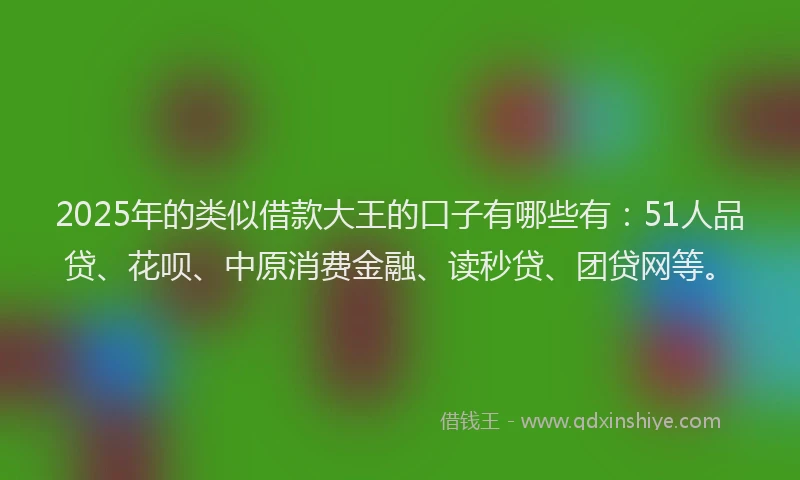 2025年的类似借款大王的口子有哪些有：51人品贷、花呗、中原消费金融、读秒贷、团贷网等。