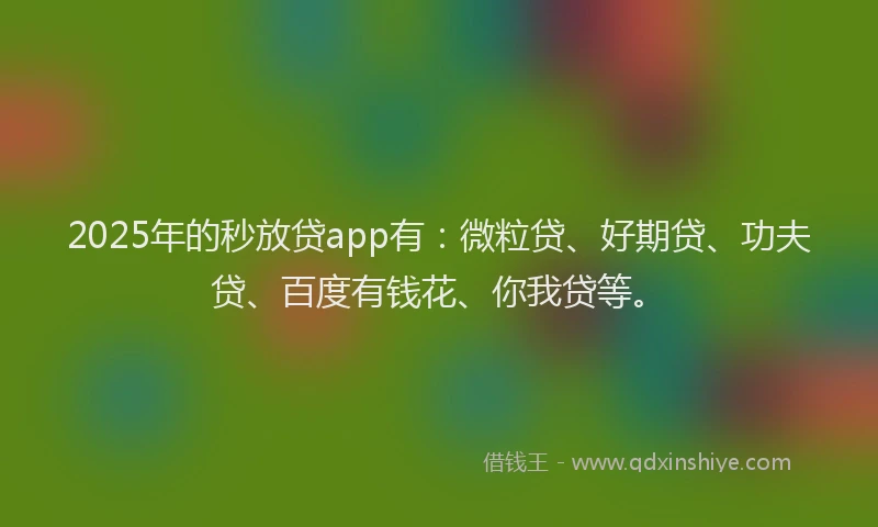2025年的秒放贷app有：微粒贷、好期贷、功夫贷、百度有钱花、你我贷等。
