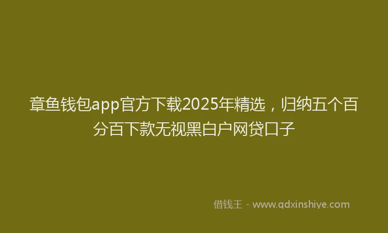 章鱼钱包app官方下载2025年精选，归纳五个百分百下款无视黑白户网贷口子