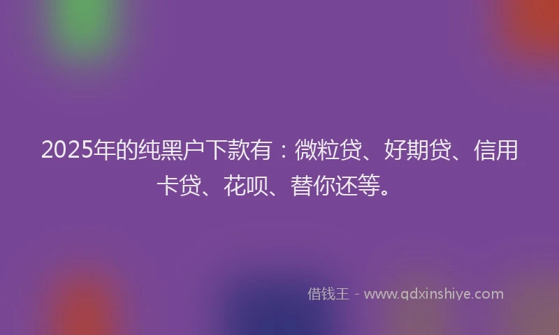 2025年的纯黑户下款有：微粒贷、好期贷、信用卡贷、花呗、替你还等。