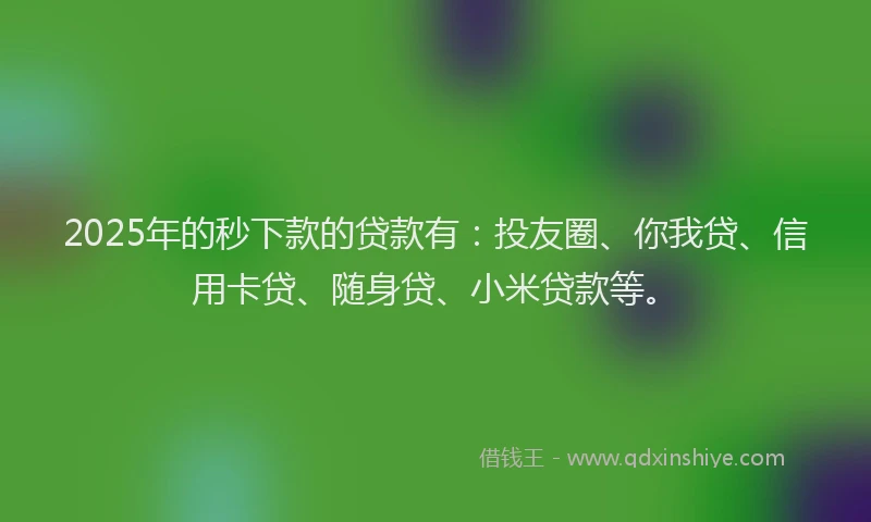 2025年的秒下款的贷款有：投友圈、你我贷、信用卡贷、随身贷、小米贷款等。