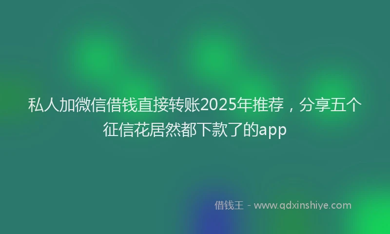 私人加微信借钱直接转账2025年推荐，分享五个征信花居然都下款了的app
