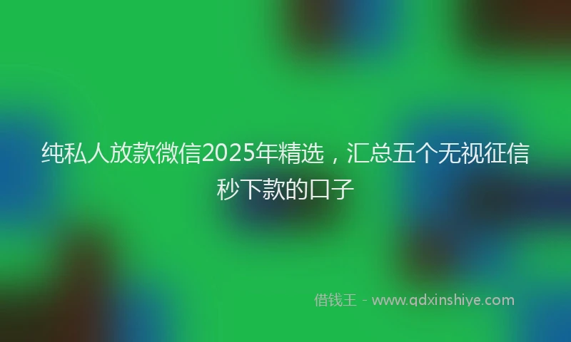 纯私人放款微信2025年精选，汇总五个无视征信秒下款的口子