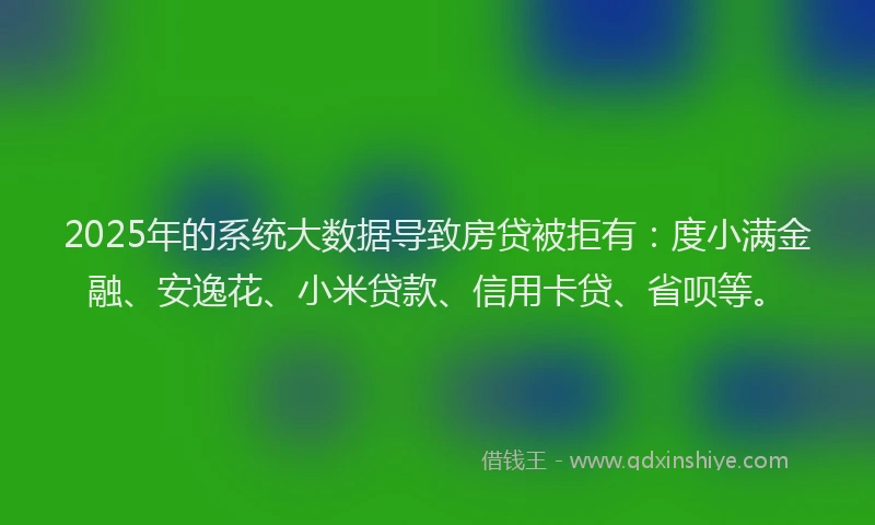 2025年的系统大数据导致房贷被拒有：度小满金融、安逸花、小米贷款、信用卡贷、省呗等。