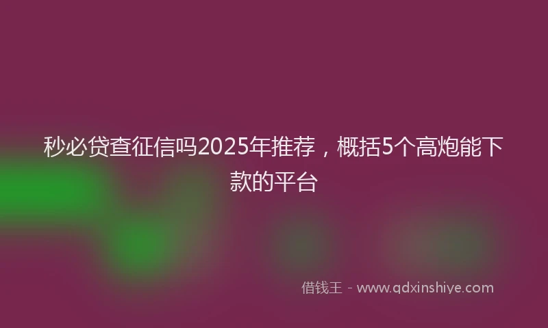 秒必贷查征信吗2025年推荐，概括5个高炮能下款的平台
