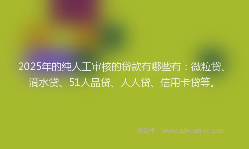 2025年的纯人工审核的贷款有哪些有:微粒贷、滴水贷、51人品贷、人人贷、信用卡贷等。
