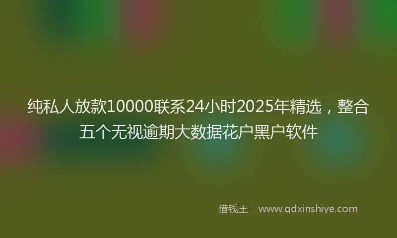 纯私人放款10000联系24小时2025年精选，整合五个无视逾期大数据花户黑户软件
