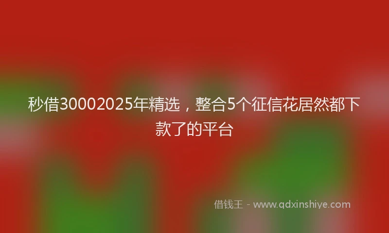 秒借30002025年精选，整合5个征信花居然都下款了的平台