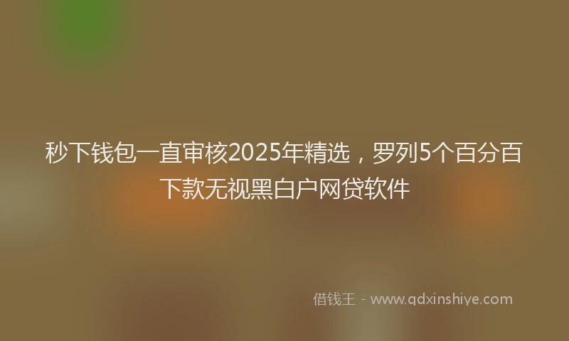 秒下钱包一直审核2025年精选，罗列5个百分百下款无视黑白户网贷软件
