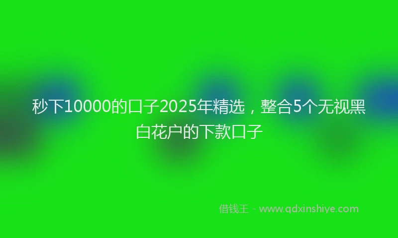 秒下10000的口子2025年精选，整合5个无视黑白花户的下款口子